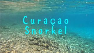 Curacao Snorkelling [upl. by Amron]