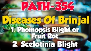 Brinjal  Diseases of Brinjal  PATH354  Phomopsis Blight or Fruit Rot Sclerotinia Blight [upl. by Mozart741]