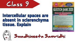 Intercellular spaces are absent in sclerenchyma tissue  Class 9 science Talks with Swadhineeta [upl. by Anomar]