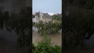 Inondations in Sahline Monastir Tunisia 23102024 schorts [upl. by Fougere]