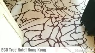 ECO TREE HOTEL HONGKONG [upl. by Fosdick]