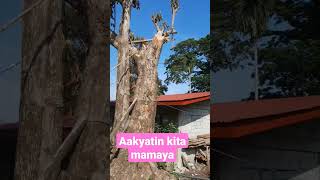 aakyatin kita trending shortvideo viral [upl. by Astor]