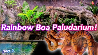 270 Gallon Boa Paludarium Build pt2  Waterfall Plants Snake [upl. by Franciska]