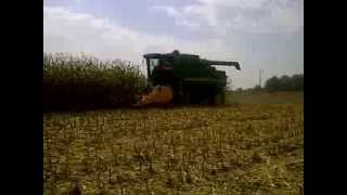 Grecav chopper corn head demo at Woodstock farm show [upl. by Orr]