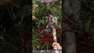 inmortal chicken 7daystodie [upl. by Lotsirhc]