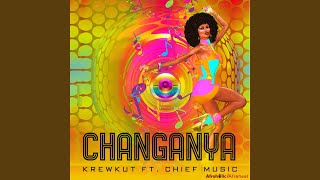 Changanya feat Chief Music [upl. by Lomasi273]