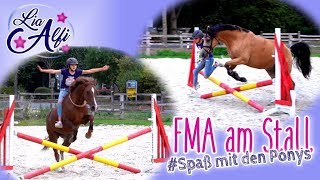 Lia amp Alfi  FMA am Stall  HalsringReiten [upl. by Alleber]