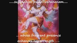 Mantra with English subtitles Sri Mrityunjaya Mantra  Rig Veda [upl. by Nidia791]