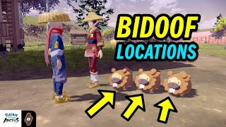 ALL Bidoof Locations Request 8 Bothersome Bidoofs Walkthrough  Pokemon Legends Arceus [upl. by Esoj]