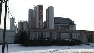 Farmland Dairies in Wallington is Closing Resulting in 325 Layoffs [upl. by Hatokad166]