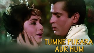 Tumne Pukara Aur Hum Chale Aaye  Mohammed Rafi  Suman Kalyanpur  Shammi Kapoor  Sadhana [upl. by Lebasile]