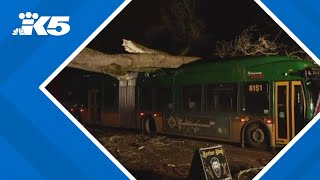 Bomb cyclone leaves widespread damage around western Washington [upl. by Alik]