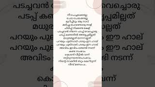 നീ ചെച്ചലക്കല്ലേ  trend song  lyrics  shorts safa musthafa [upl. by Booker]