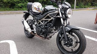 2021 SV650 Still Relevant We Bought It [upl. by Tarsuss]