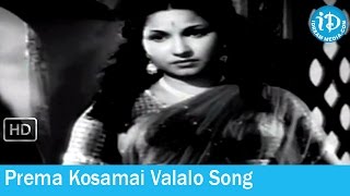 Patala Bhairavi Movie Songs  Prema Kosamai Valalo Song  NTR  SVR  Savitri [upl. by Atilrac]