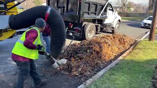 One of the biggest leaf vacuum they make Satisfying suction [upl. by Htebazie374]