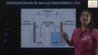 Electrochemical Cells  Class 11  Chapter 8  Chemistry [upl. by Anilev671]