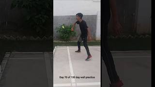 70th Day of 100 day wall practice badminton pvsindhu [upl. by Hyman751]