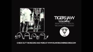 Tigers Jaw  Colorful Official Audio [upl. by Jennie]