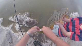 Lake Pleasant Arizona Fishing and Bowfishing [upl. by Adnaram669]