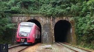 CPTM  Trens Serie 9500 D556 amp D540 Passando pelo Centenário Túnel Botujuru [upl. by Nihsfa]