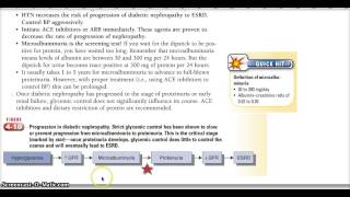 Learn With Me Diabetic Nephropathy Microalbuminuria Proteinuria [upl. by Diver625]