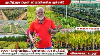 🌴🌿 இயற்கை நர்சரி மிகப்பெரிய உற்பத்தி நிலையம் 😱 No Hybrid plants ❗ Biggest nursery in tamilnadu [upl. by Akinet]