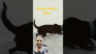 MASTI WITH SHANTY MY PET dog shanty shorts [upl. by Reibaj]