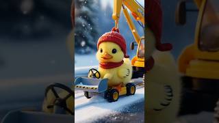 The cute duck works hard in the winter season🐥cuteduck entertainment [upl. by Alasteir]