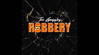 Tee Grizzley  Robbery Clean [upl. by Sankey671]