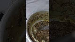 Gongura muttonyummmyoutubeshorts ytshorts papakipari hyderabad muttonrecipe subscribe [upl. by Ennaitak918]