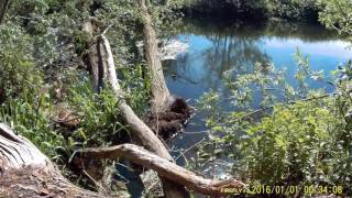 Eddys Fishing In Norfolk [upl. by Fleisher]