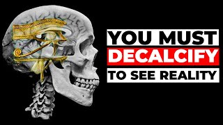 The 7 Ways to DECALCIFY Your PINEAL GLAND [upl. by Draper]