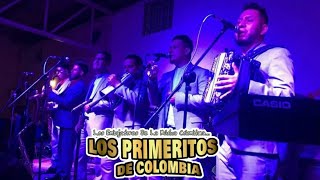 La Cabellona  Los Primeritos de Colombia En Vivo 2018 [upl. by Sternberg516]