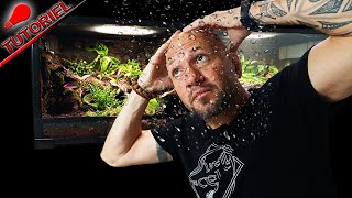 INSTALLER UN BRUMISATEUR DANS UN TERRARIUM [upl. by Waters]