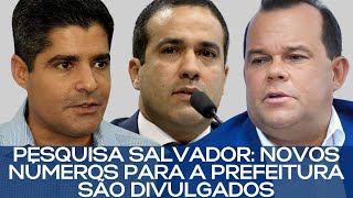 PESQUISA SALVADOR NOVOS NÃšMEROS PARA A PREFEITURA SÃƒO DIVULGADOS [upl. by Annoeik967]