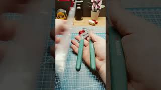 Cleste 2 in 1 Parkside❤️ knipex diy automobile [upl. by Raamaj]