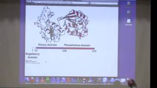 Kevin Aherns BiteSized Biochemistry 24  Gluconeogenesis II Carbohydrate Metabolism [upl. by Adnahsed]