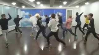 EXO WOLF Practice full version [upl. by Meehsar]