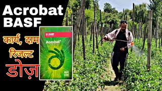 Acrobat  Systemic fungicide  Basf Fungicide  Dimethomorph50wp  Praveen Thakur [upl. by Novihc]