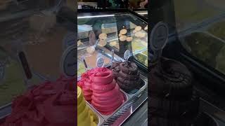 What’s your fav Gelato flavour🍨australia love vloginaustralia couplevloggers tibetanyoutuber [upl. by Harts250]