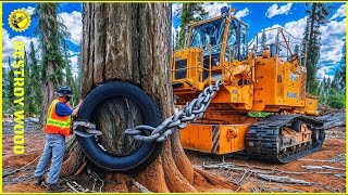 Extreme Dangerous Fastest Big Chainsaw Cutting Tree Machines  Forestry Machinery In Operation 35 [upl. by Oralee977]