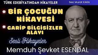 quotBir Çocuğun Hikayesiquot quotGarip Bilgisizler Alayıquot Memduh Şevket Esendal Hikayeleri [upl. by Howlan83]