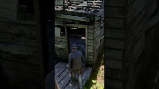 You passed this abandon struction but missed this  RDR2 [upl. by Nahshon177]