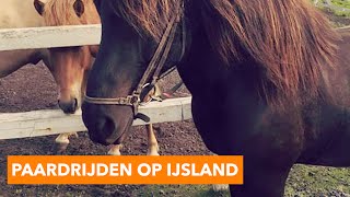 Paardrijden op IJsland  PaardenpraatTV [upl. by Ahsinid]