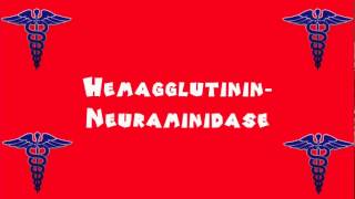 Pronounce Medical Words ― Hemagglutinin―Neuraminidase [upl. by Jasmina]