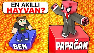 UZUN YAZAN YAŞAR  Minecraft [upl. by Haggai623]