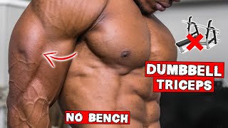 DUMBBELL TRICEP WORKOUT AT HOME  NO BENCH NEEDED [upl. by Bendicta]