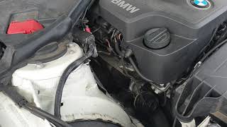 BMW 320i N20 Engine noise cold start [upl. by Volkan]