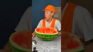 funny mukbang watermelon food review amazingfacts comedyshorts dog doglover [upl. by Ehrman]